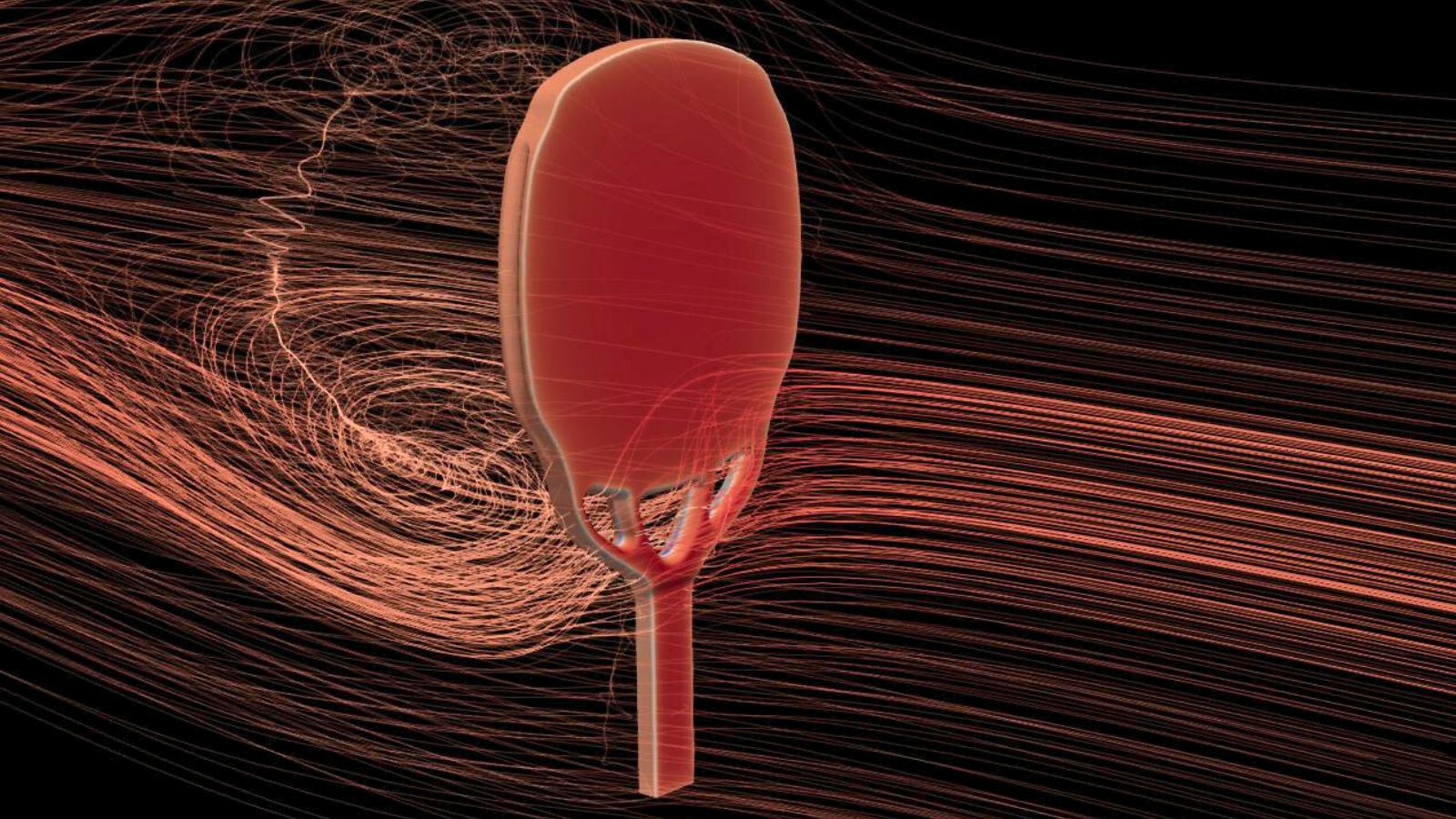 KOBO Thunder AXE radical , aerodynamic , and different design